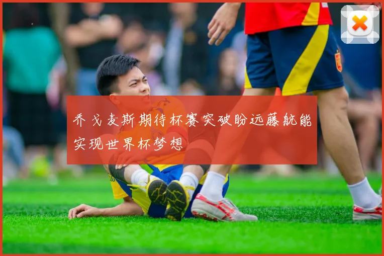 乔戈麦斯期待杯赛突破盼远藤航能实现世界杯梦想