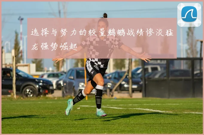 选择与努力的较量鹈鹕战绩惨淡猛龙强势崛起