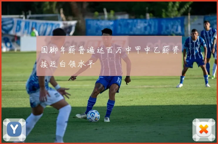 国脚年薪普遍达百万中甲中乙薪资接近白领水平