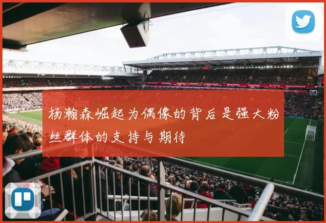 杨瀚森崛起为偶像的背后是强大粉丝群体的支持与期待